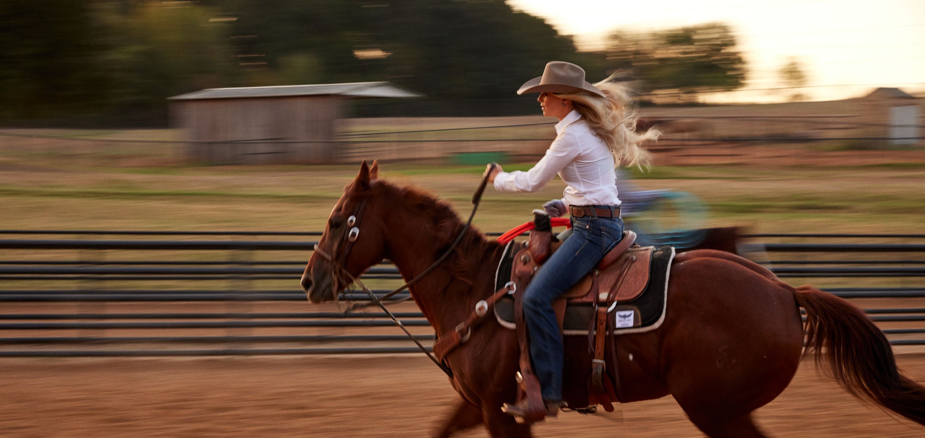Vêtements équitation siglés - EN FIL