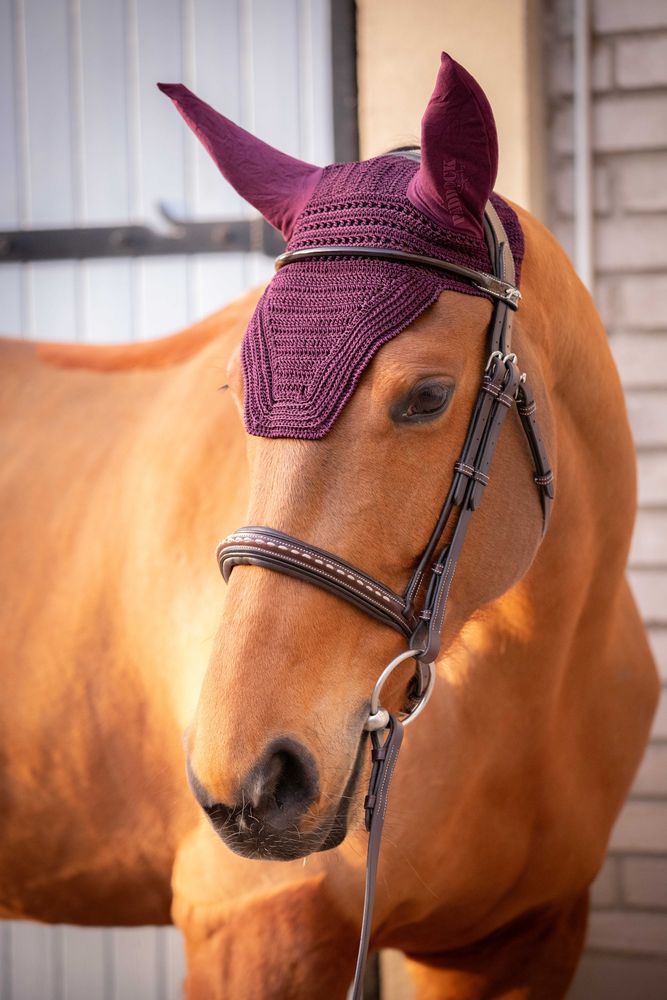 Bonnet Prems Prune PADDOCK