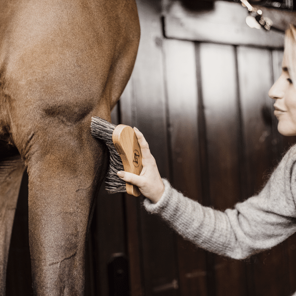 Bouchon Dur Grooming de Luxe Kentucky