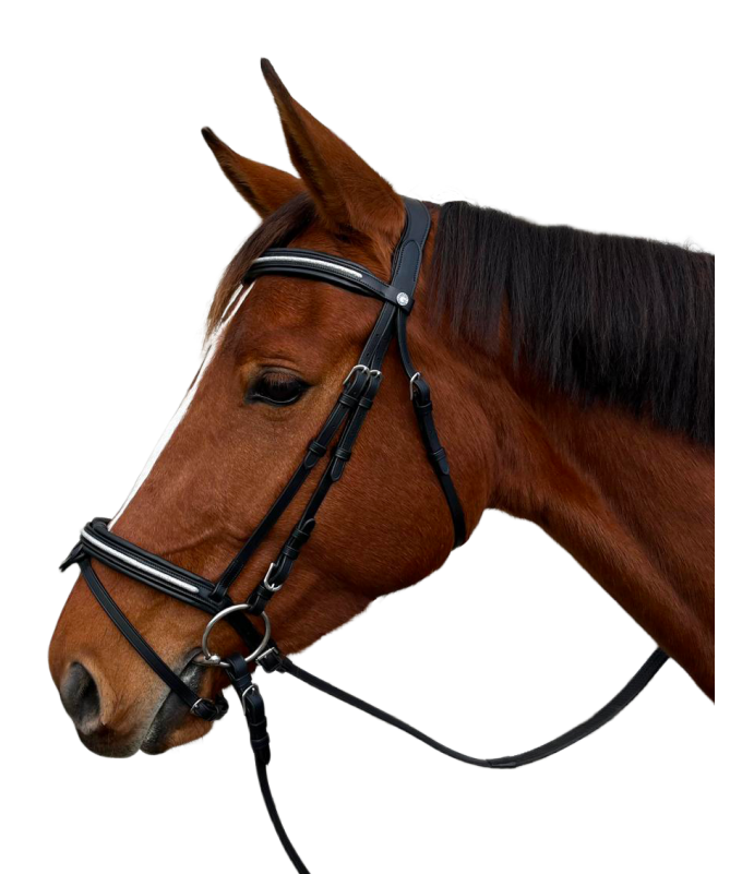 Bridon Canter Mylord Flags & Cup marron/marron