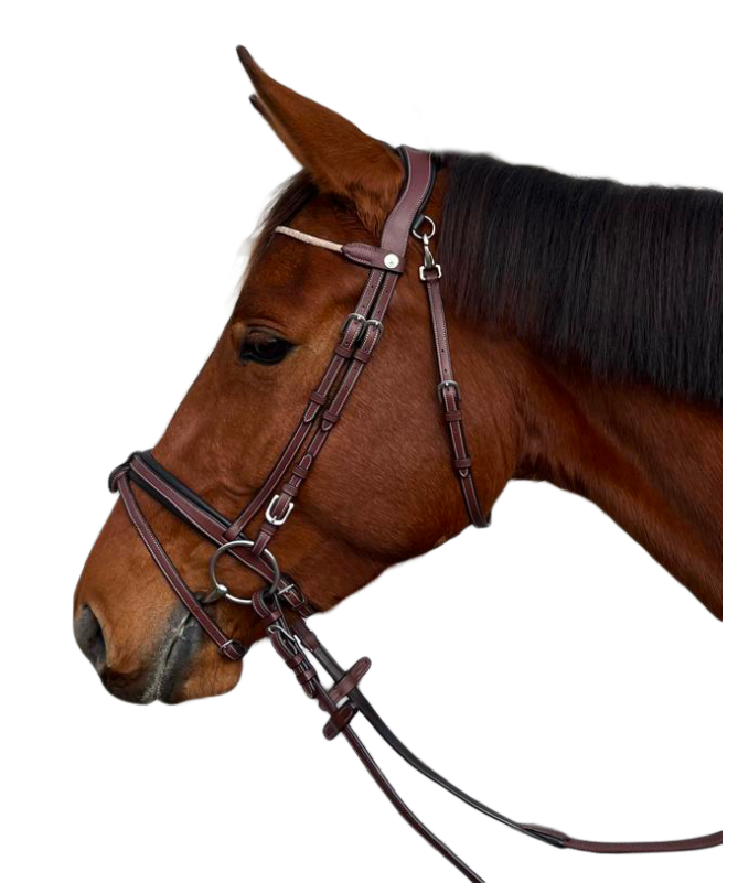 Bridon Genève Flags & Cup Marron/Rose Gold