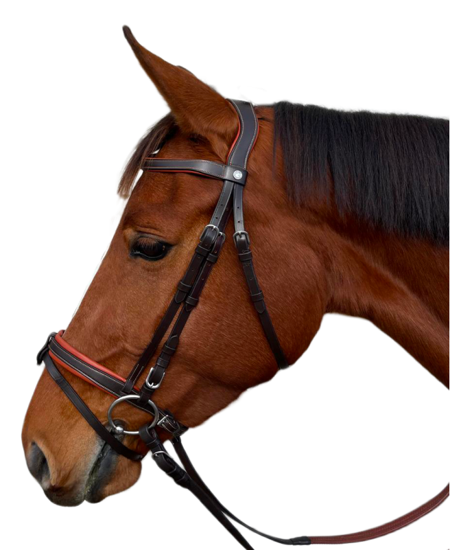 Bridon Canter plat doublé DONATELLO Flags & Cup noir