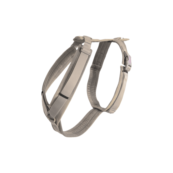 Harnais Velvet actif Pour Chien Kentucky