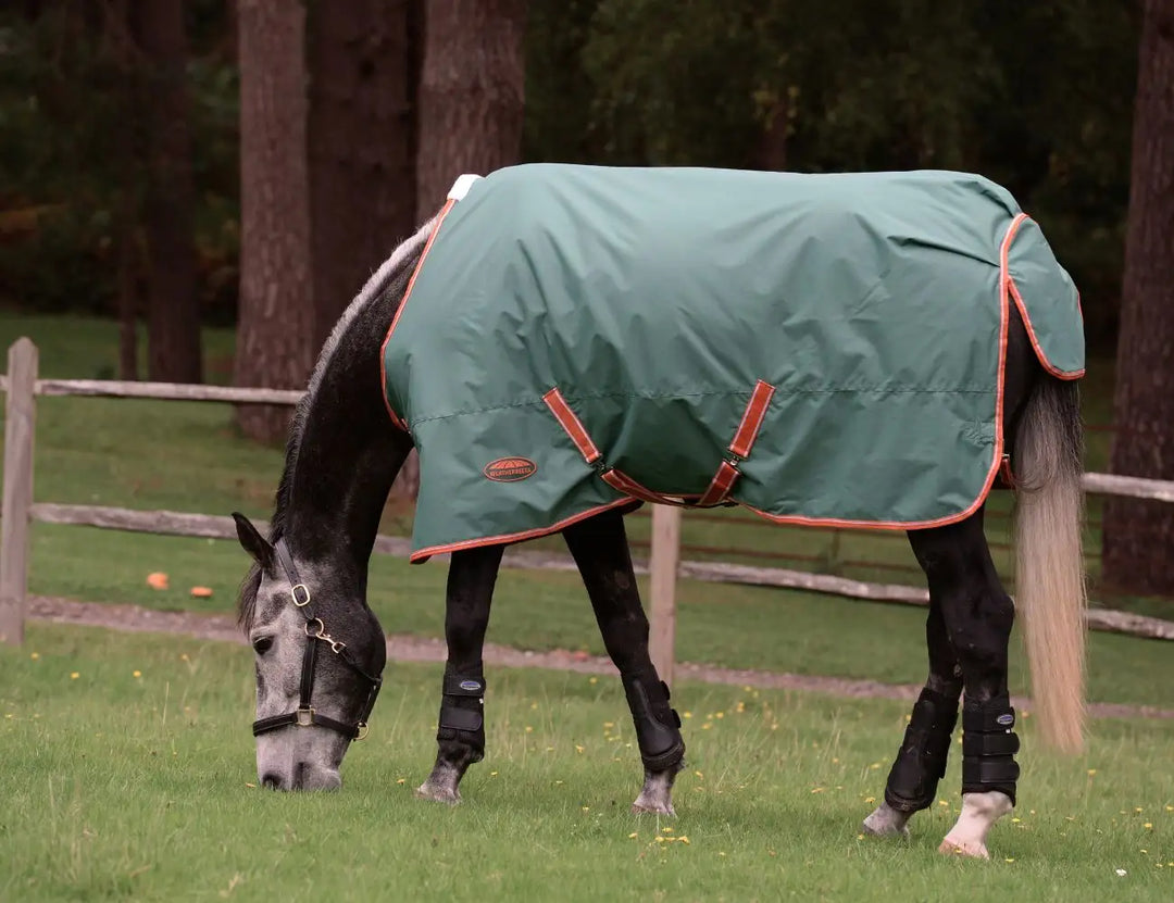 Couverture Weatherbeeta ComFiTec Tyro Standard Neck 50Grs