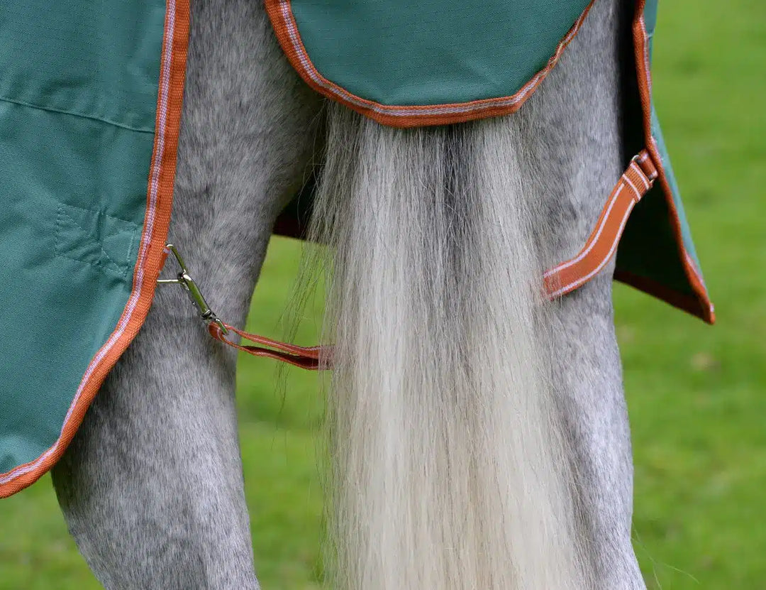 Couverture Weatherbeeta ComFiTec Tyro Standard Neck 50Grs