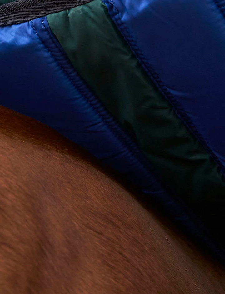 Couverture Comfitec Plus Dynamic 0g Vert forêt/Marine - Weatherbeeta