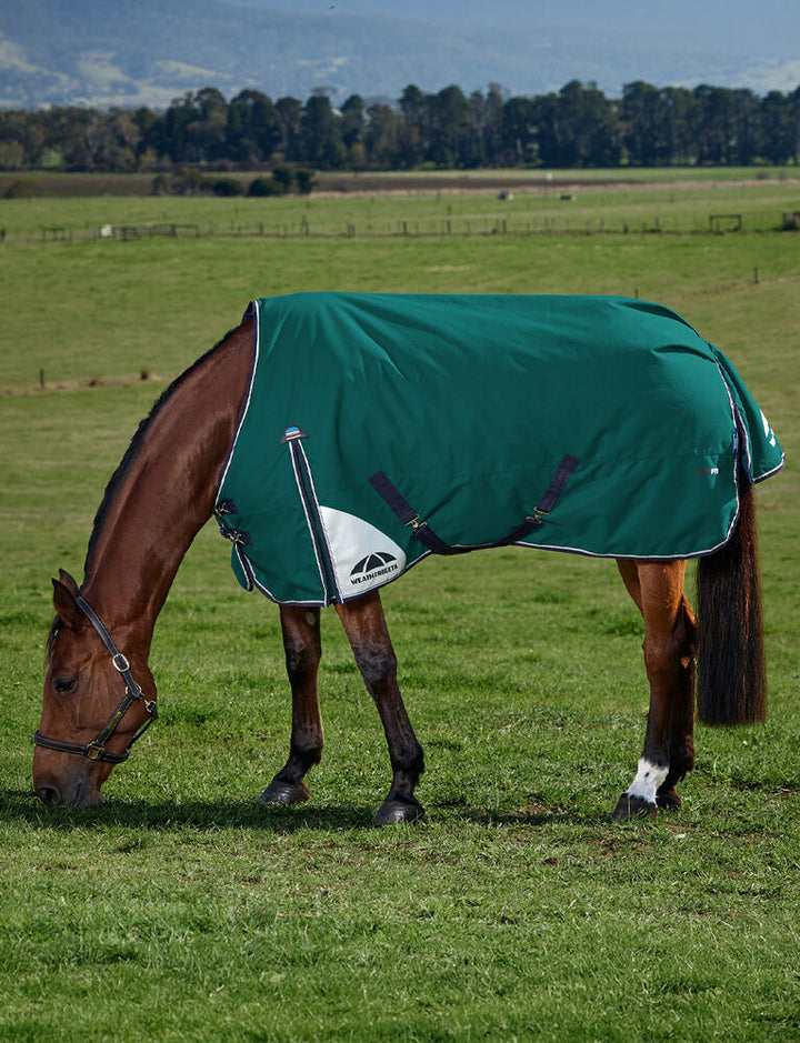 Couverture Comfitec Plus Dynamic 0g Vert forêt/Marine - Weatherbeeta