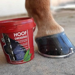 Graisse pour sabot Hoof Dressing Original - Kevin Bacon's