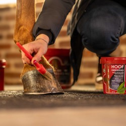 Graisse pour sabot Hoof Dressing Original - Kevin Bacon's