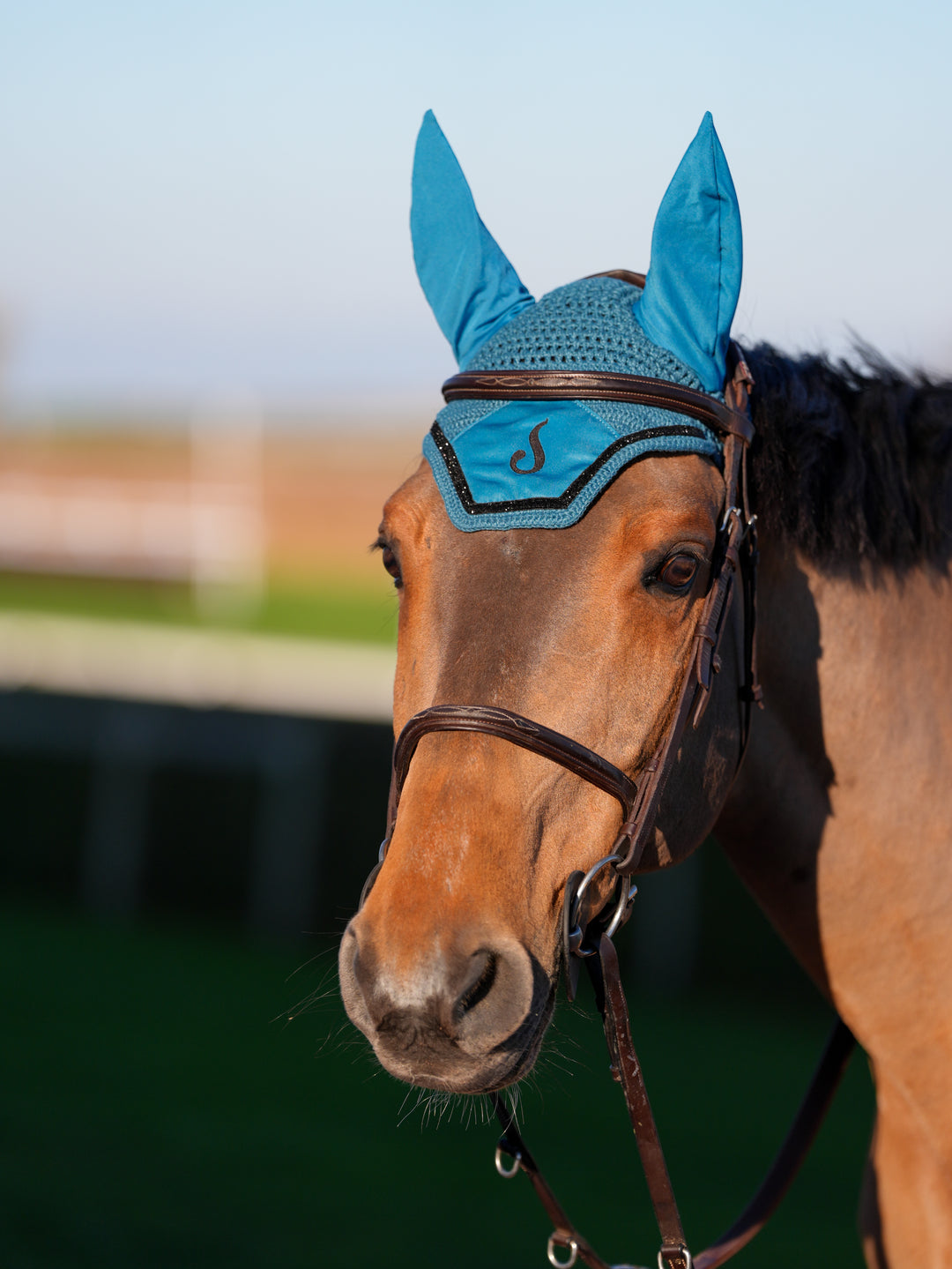Bonnet pout cheval Vert Canard - Le Sabotier