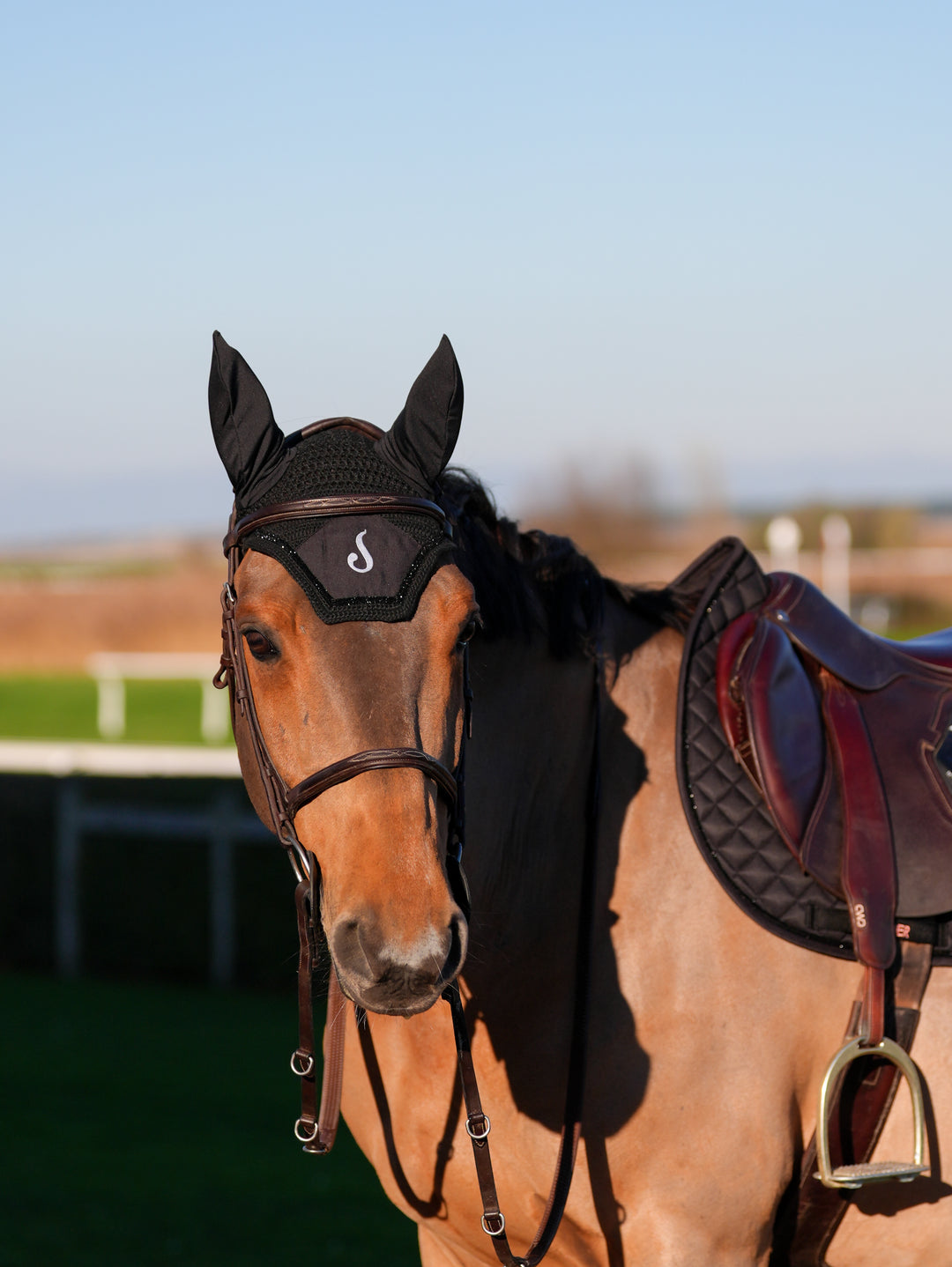 Bonnet pour cheval Noir - Le Sabotier