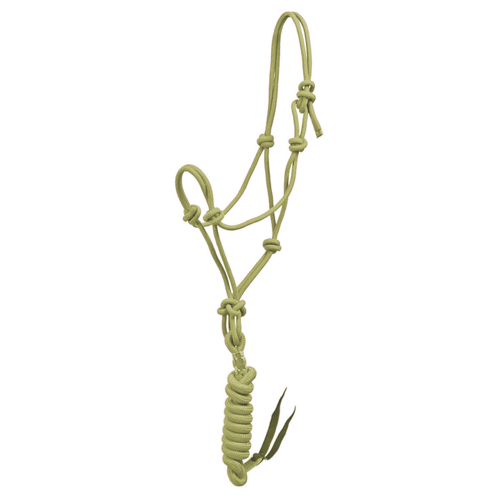 Licol Ethologique avec longe