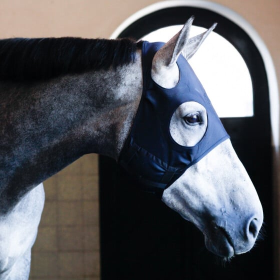 Masque Fenwick en titane liquide