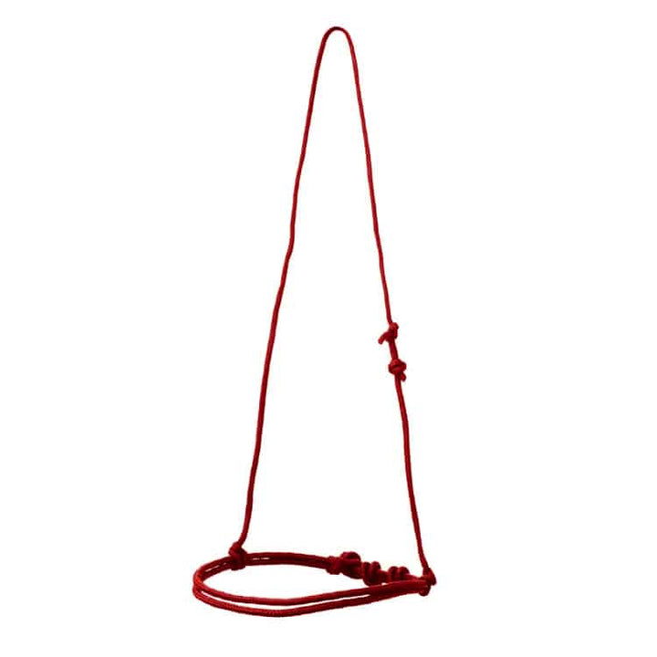 Muserolle NOSEBAND corde