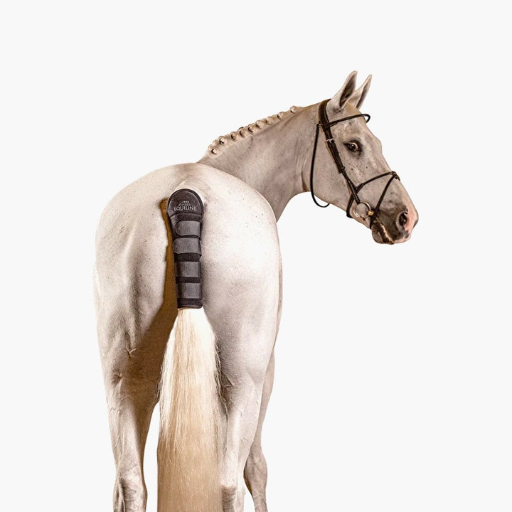 protège queue cheval Equiline