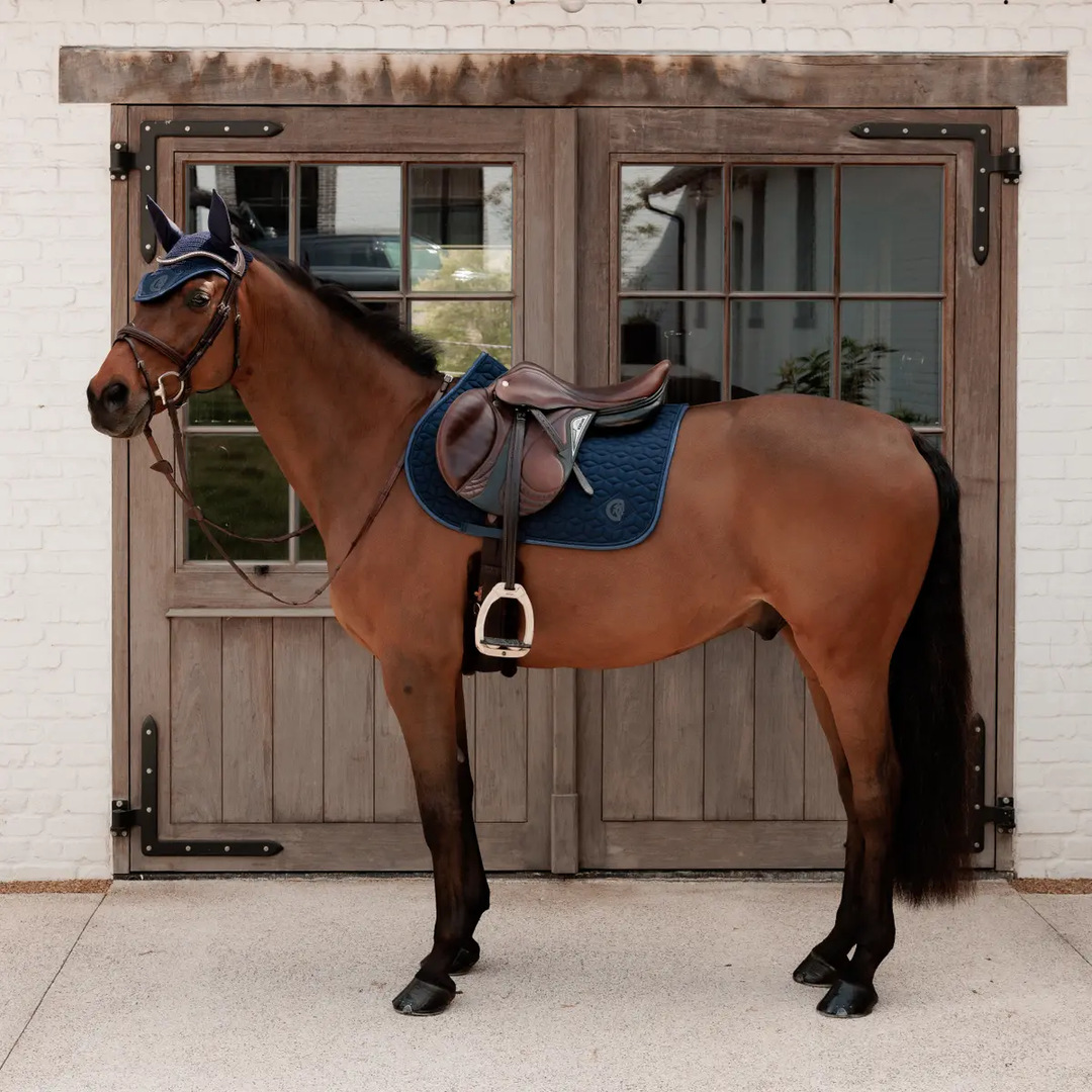 Tapis de selle jumping  petillante vieille Marine - Kentucky