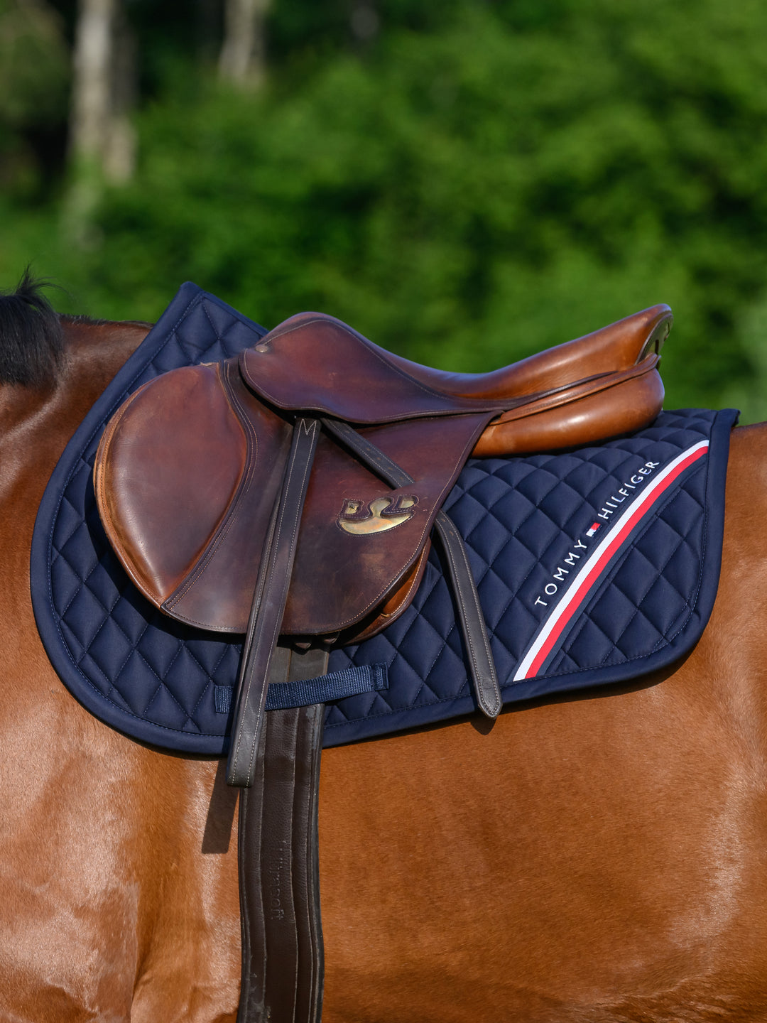 Tapis de selle saut Stanford Dessert Sky - Tommy Hilfiger