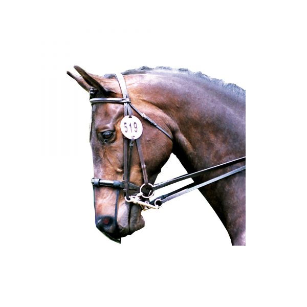 bonnet anti encensement pour cheval accroché sur la muserolle de la bride d'un cheval