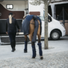 protège queue pour transport cheval kentucky noir