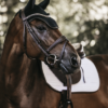 bonnet anti mouche pour cheval modèle wellington leather kentucky noir taille cheval