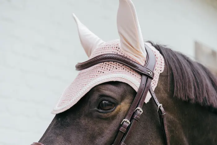 bonnet anti-mouche pour cheval marque kentucky wellington rose gold