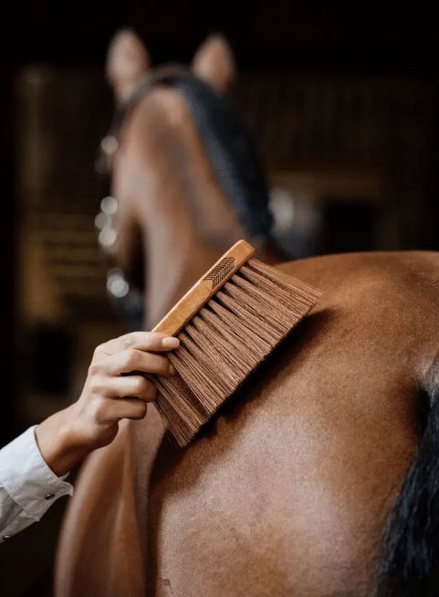 bouchon grooming deluxe poil moyen dur pour pansage cheval